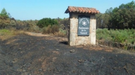 Forestales denuncian la mala actuación pública para recuperar suelo quemado