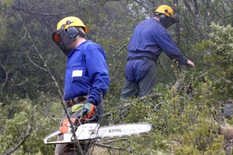 La Asociación de Empresas Forestales de Castilla la Mancha se ha reunido con la Dirección General de Medio Natural y Biodiversidad para concretar las novedades sobre las restricciones en la ejecución de trabajos forestales en época de incendios