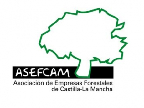 Las empresas forestales de Castilla-La Mancha reclaman a la Junta mayor apoyo para incentivar el crecimiento económico de la región