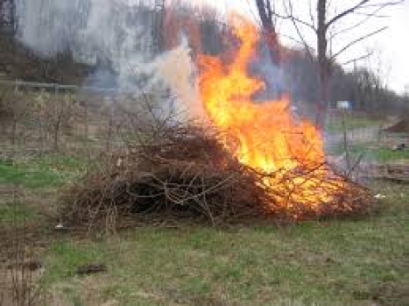 Resolución por la que se prohíbe temporalmente la quema de restos vegetales en el medio natural y trabajos con riesgo de incendios en las superficie forestales.