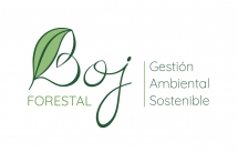 Boj Forestal